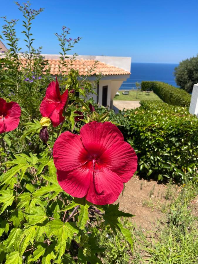Sofia *luxury Experience In Calabria Villa