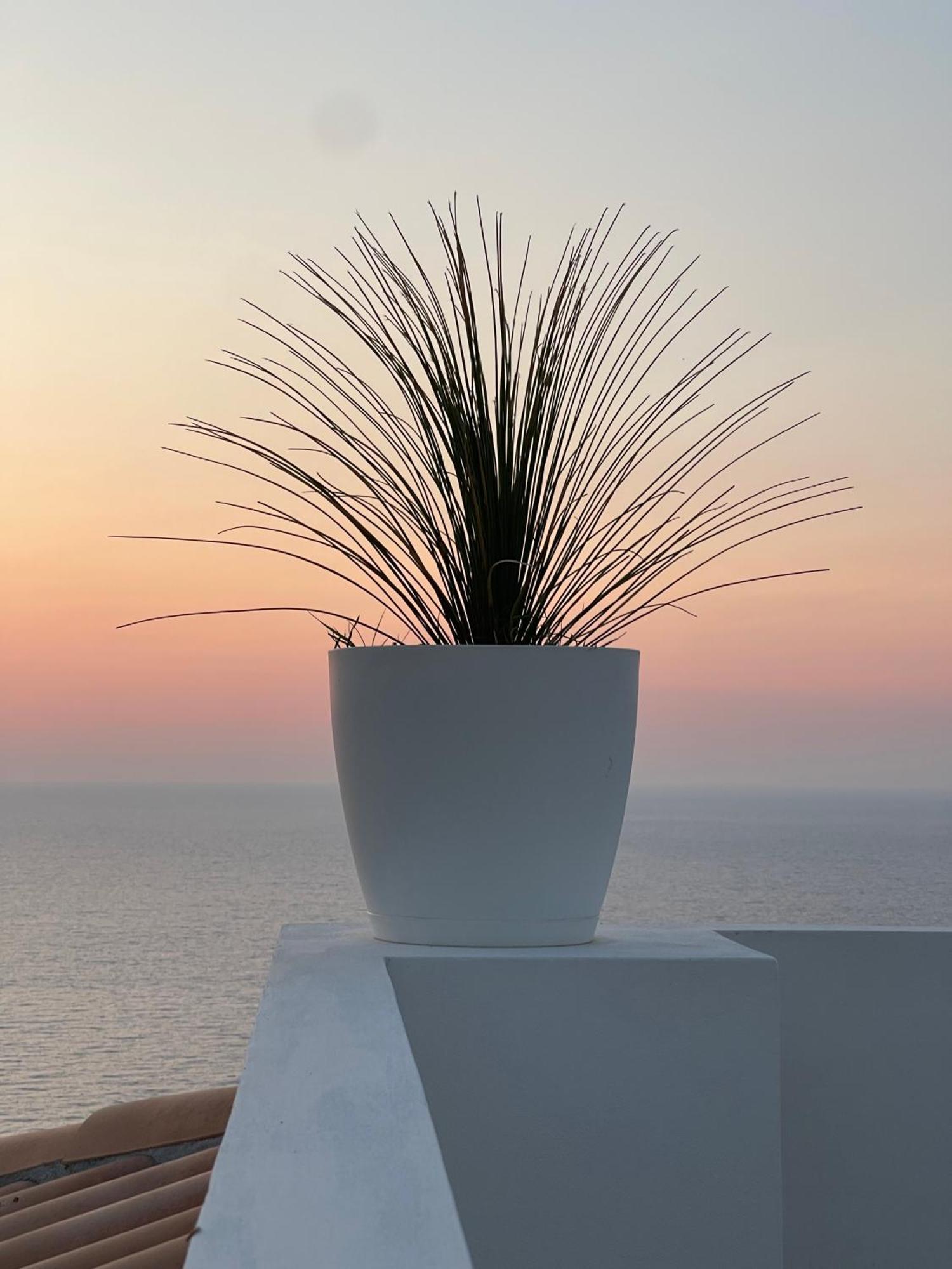 Villa Sofia *luxury Experience In Calabria Zambrone